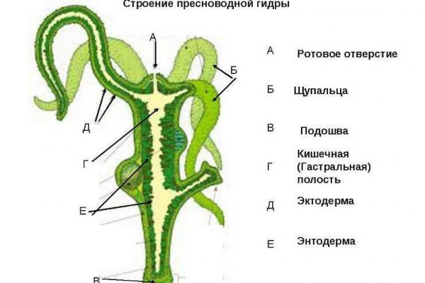 Кракен актуальная